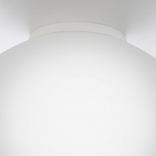 Настенно-потолочный светильник Citilux Ron CL941D25B0