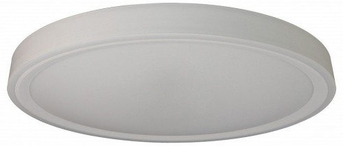 Потолочный светильник Zortes Bella ZRS.1200.09