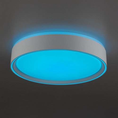 Накладной светильник Citilux BOSS CL751250G