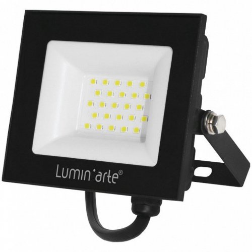 Настенно-потолочный прожектор Luminarte LFL-30W LFL-30W/06