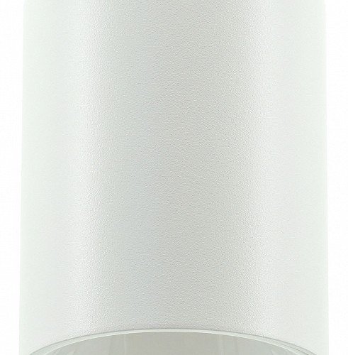 Накладной светильник LIGHTERA Shamrock LE201CL-1WB