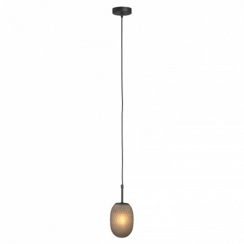 Потолочная люстра Vitaluce V28211-1/1S