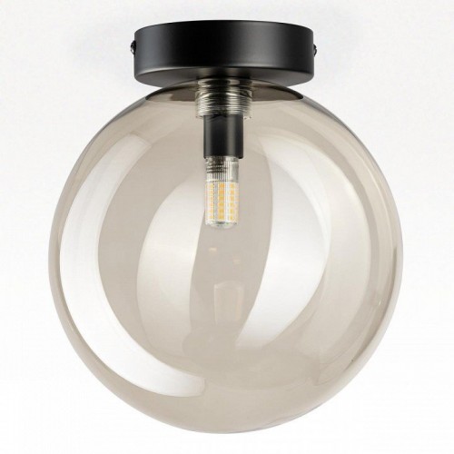 Настенно-потолочный светильник Citilux Orton CL202511