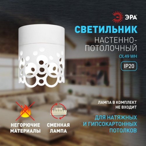 Точечный светильник OL49 WH