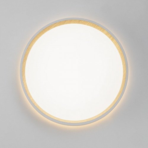 Настенно-потолочный светильник Citilux Etalon CL750240 Настенно-потолочный светильник Citilux Etalon CL750240