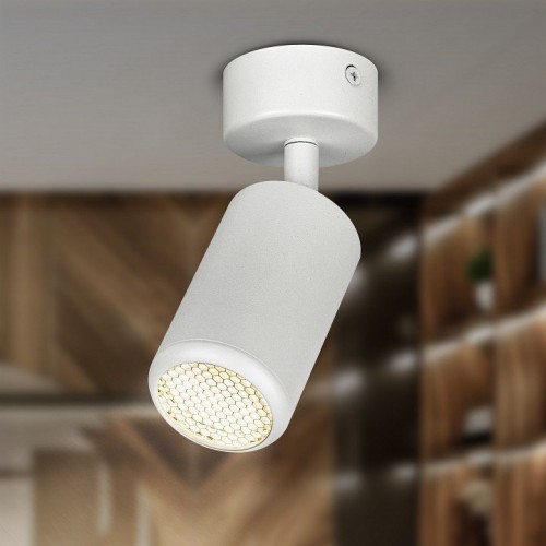 Спот Эра  OL55 WH