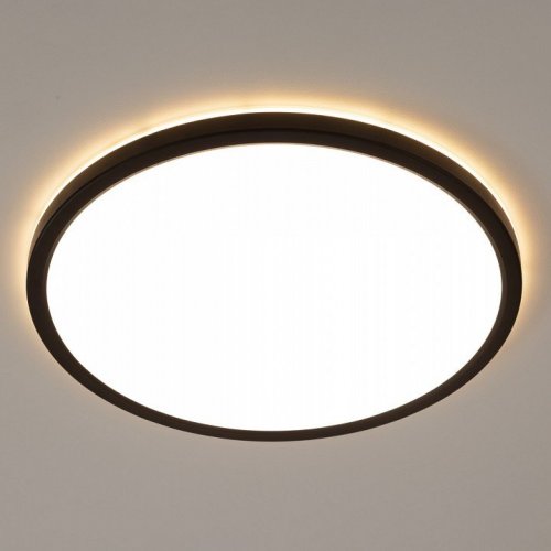 Настенно-потолочный светильник Citilux Basic Line CL738321EL