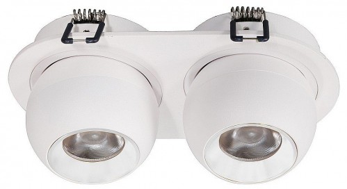 Точечный светильник Wertmark Dorsum WTD.O36.007.30.14