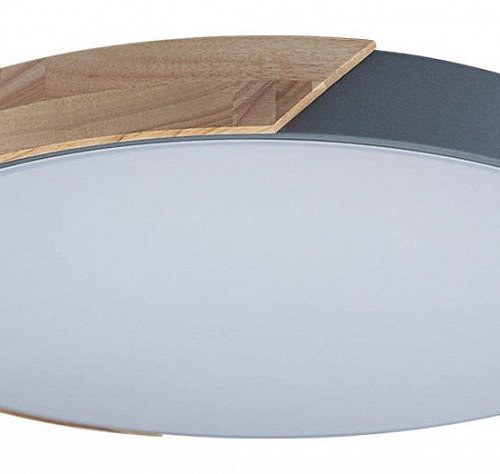 Потолочный светильник Loft IT Axel 10004/36 Grey