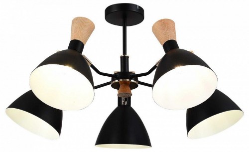 Люстра на штанге EVOLUCE VISTA SLE1256-402-05