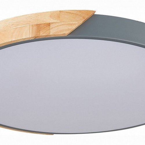 Потолочный светодиодный светильник Evoluce Festa SLE200972-01