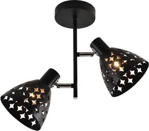 Потолочная люстра Reluce 01554-3.3-02B BK+CR