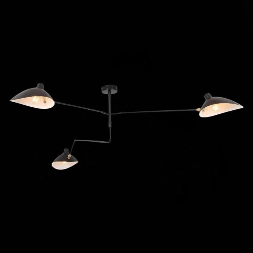 Люстра на штанге ST Luce Spruzzo SL305.402.03 Люстра на штанге ST Luce Spruzzo SL305.402.03