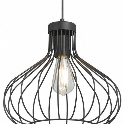 Подвесной светильник Vitaluce V2851-1/1S Подвесной светильник Vitaluce V2851-1/1S