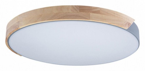 Потолочный светильник Loft IT Axel 10004/36 Grey