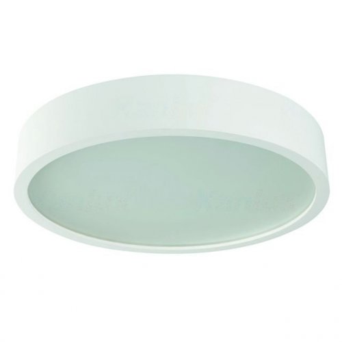 Настенные потолочные светильники Kanlux JASMIN 470-W/M 23128