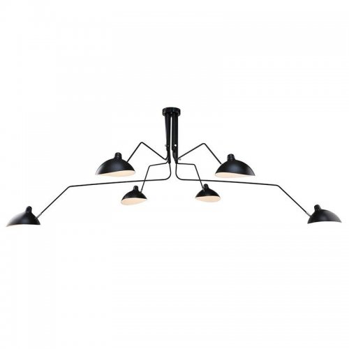 Потолочная люстра LArte Luce Spider L05606 Потолочная люстра LArte Luce Spider L05606