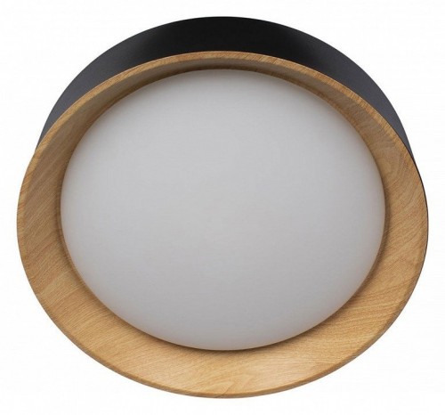 Потолочный светильник Loft IT Coin 10202 Black