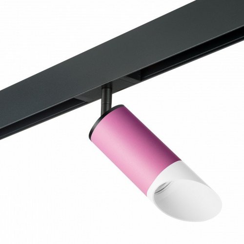 Светильник на штанге Lightstar Rullo PRO43236 Светильник на штанге Lightstar Rullo PRO43236