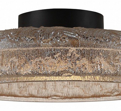 Накладной светильник ST-Luce ANTIKE SL6143.422.01