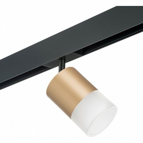 Светильник на штанге Lightstar Rullo PRO349081 Светильник на штанге Lightstar Rullo PRO349081