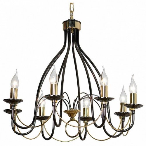 Подвесная люстра Lussole Todi GRLSA-4613-08 Подвесная люстра Lussole Todi GRLSA-4613-08