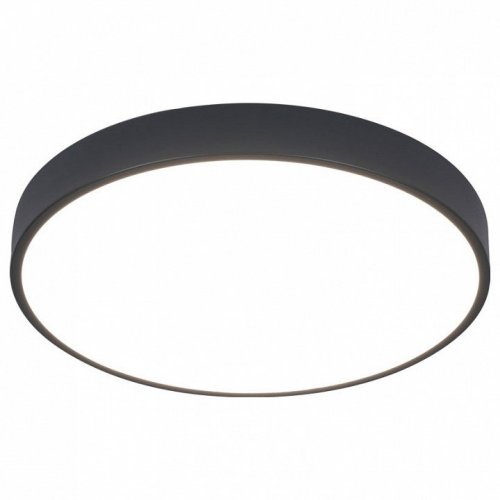 Потолочный светодиодный светильник Arte Lamp Arena A2661PL-1BK Потолочный светодиодный светильник Arte Lamp Arena A2661PL-1BK