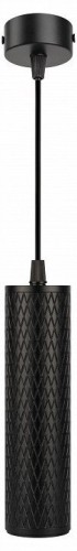 Подвесной светильник Эра PL20 BK Б0058500 Подвесной светильник Эра PL20 BK Б0058500