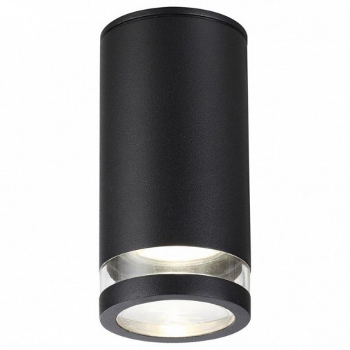 Потолочный светильник Odeon Light уличный Motto 6605/1C