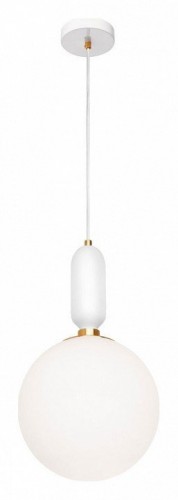 Подвесной светильник Loft IT Parachilna 9975-C