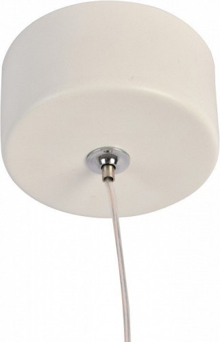 Подвесной светильник Favourite Lamba 3080-1P Подвесной светильник Favourite Lamba 3080-1P