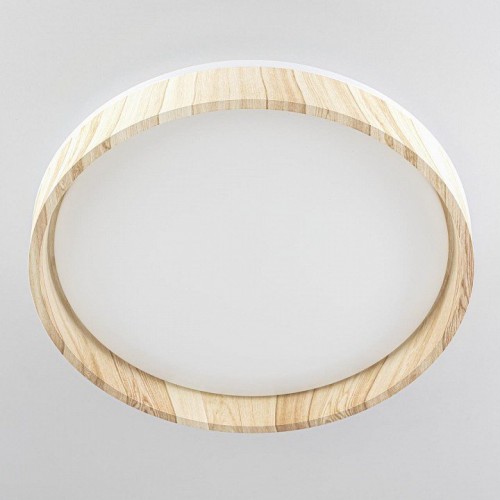 Накладной светильник Citilux ENZO CL753352G Накладной светильник Citilux ENZO CL753352G