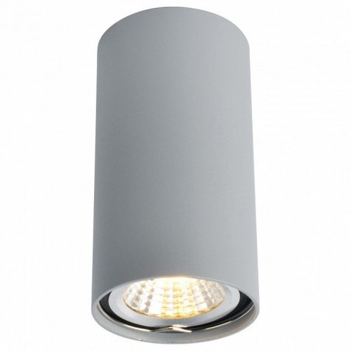 Потолочный светильник Arte Lamp A1516PL-1GY Потолочный светильник Arte Lamp A1516PL-1GY