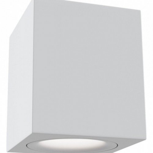 Потолочный светильник Maytoni Alfa C013CL-01W