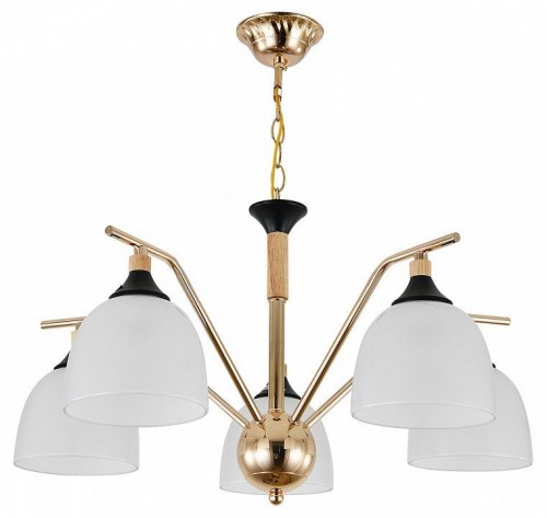 Подвесная люстра Escada Actinidia 2123/5P