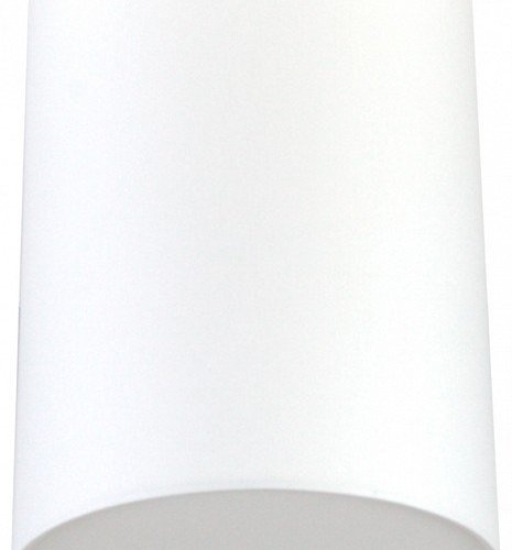 Потолочный светильник Lighthall Camerona 30 LH022018