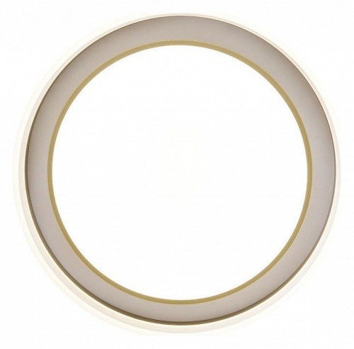 Потолочный светильник Zortes Adel ZRS.1200.01