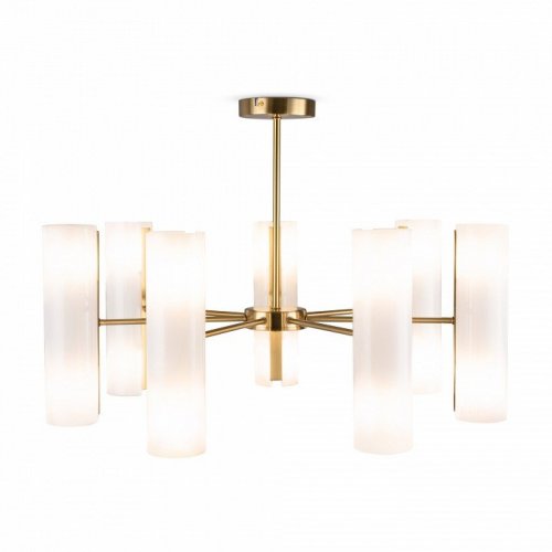 Потолочная люстра Fiore FR5368CL-14BS