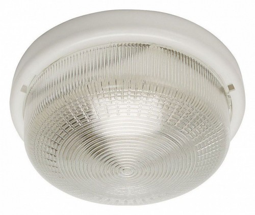 Настенно-потолочный светильник Feron НБО 05-100-001 41403 Настенно-потолочный светильник Feron НБО 05-100-001 41403