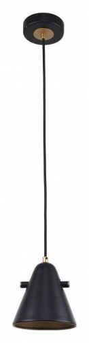 Подвесной светильник F-Promo Rigor 2844-1P Подвесной светильник F-Promo Rigor 2844-1P
