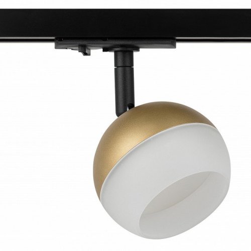 Трековый светильник ЭРА TR46 - GX53 MG