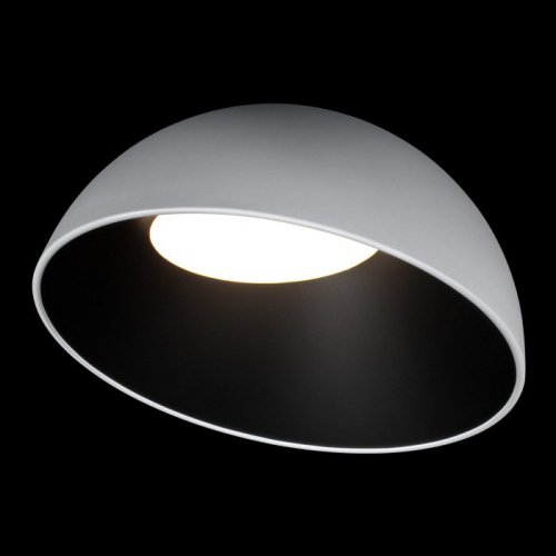 Потолочный светильник Egg 10197/500 WB