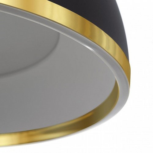 Подвесной светильник Citilux FLOOM CL736251