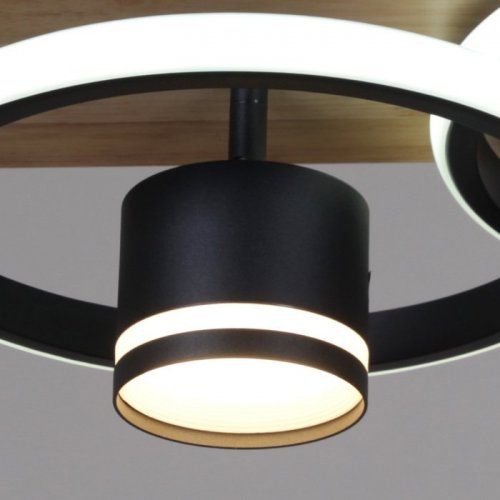 Потолочная люстра  29560-0.3-2+2 BK+WOOD