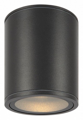 Потолочный светильник Maytoni уличный Bar O306CL-L12GF