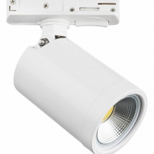 Светильник на штанге Lightstar Rullo 212936 Светильник на штанге Lightstar Rullo 212936