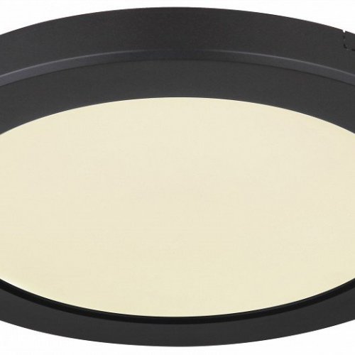 Настенно-потолочный светодиодный светильник Globo Lasse 12379-18B