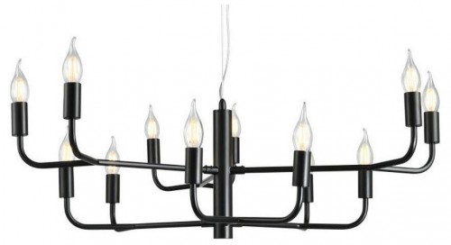 Подвесная люстра Aployt Evlalia APL.338.13.12