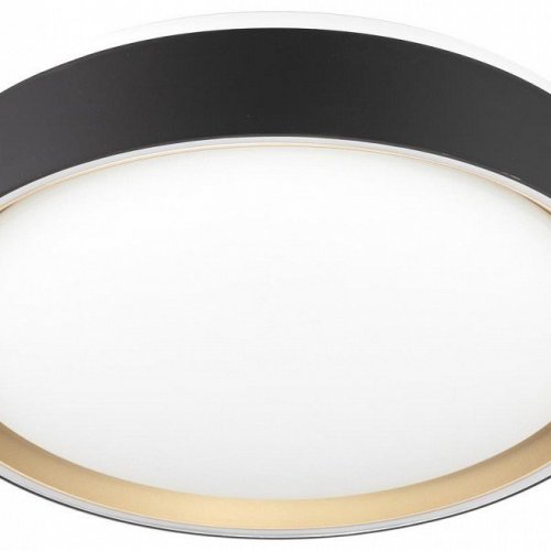 Накладной светильник Citilux BOSS CL751251G