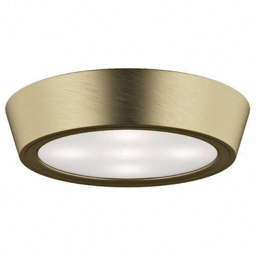 Настенно-потолочный светильник Lightstar Urbano Mini 214712 Настенно-потолочный светильник Lightstar Urbano Mini 214712